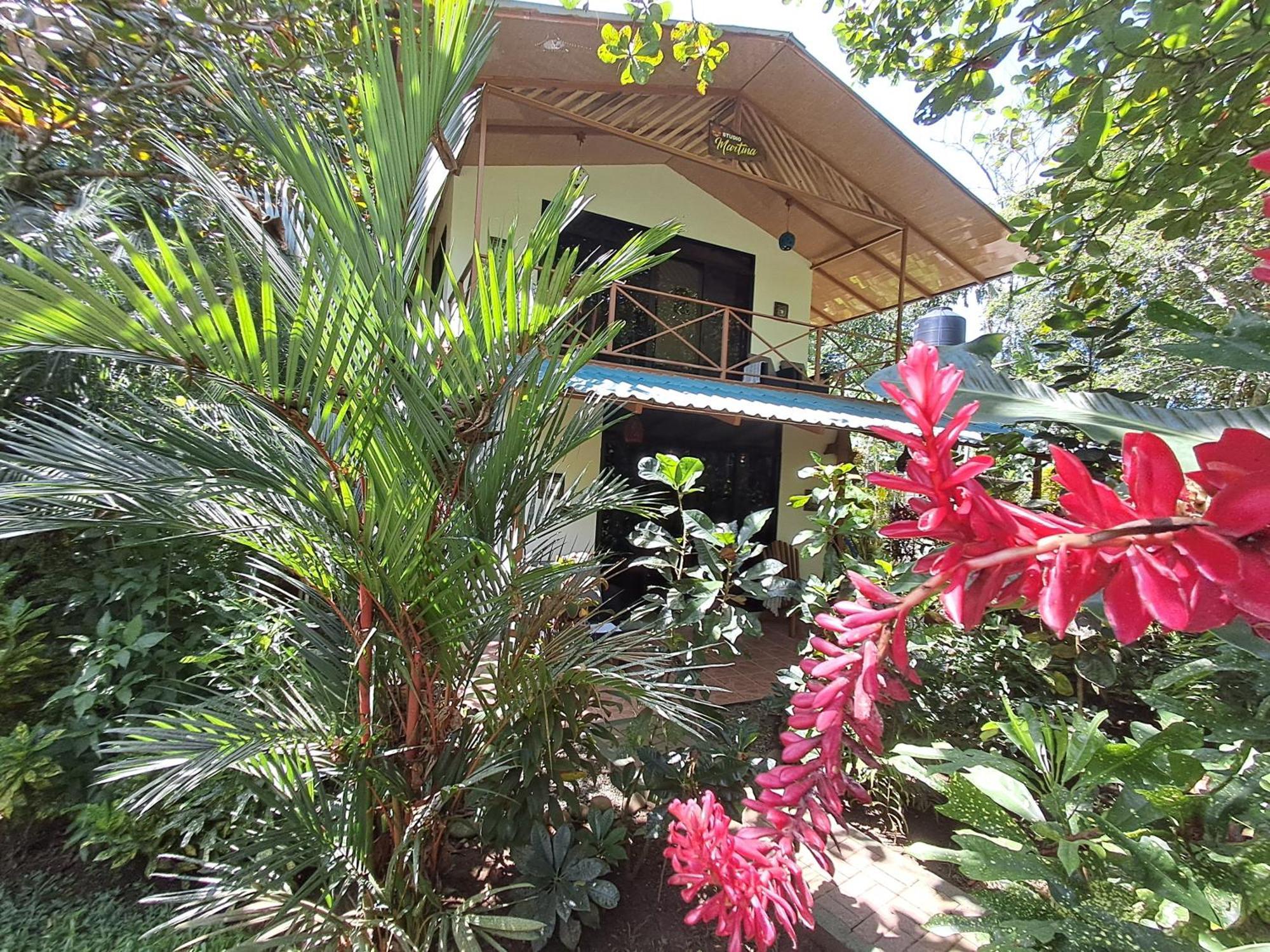 New Caribe Point Villa Cahuita Bagian luar foto