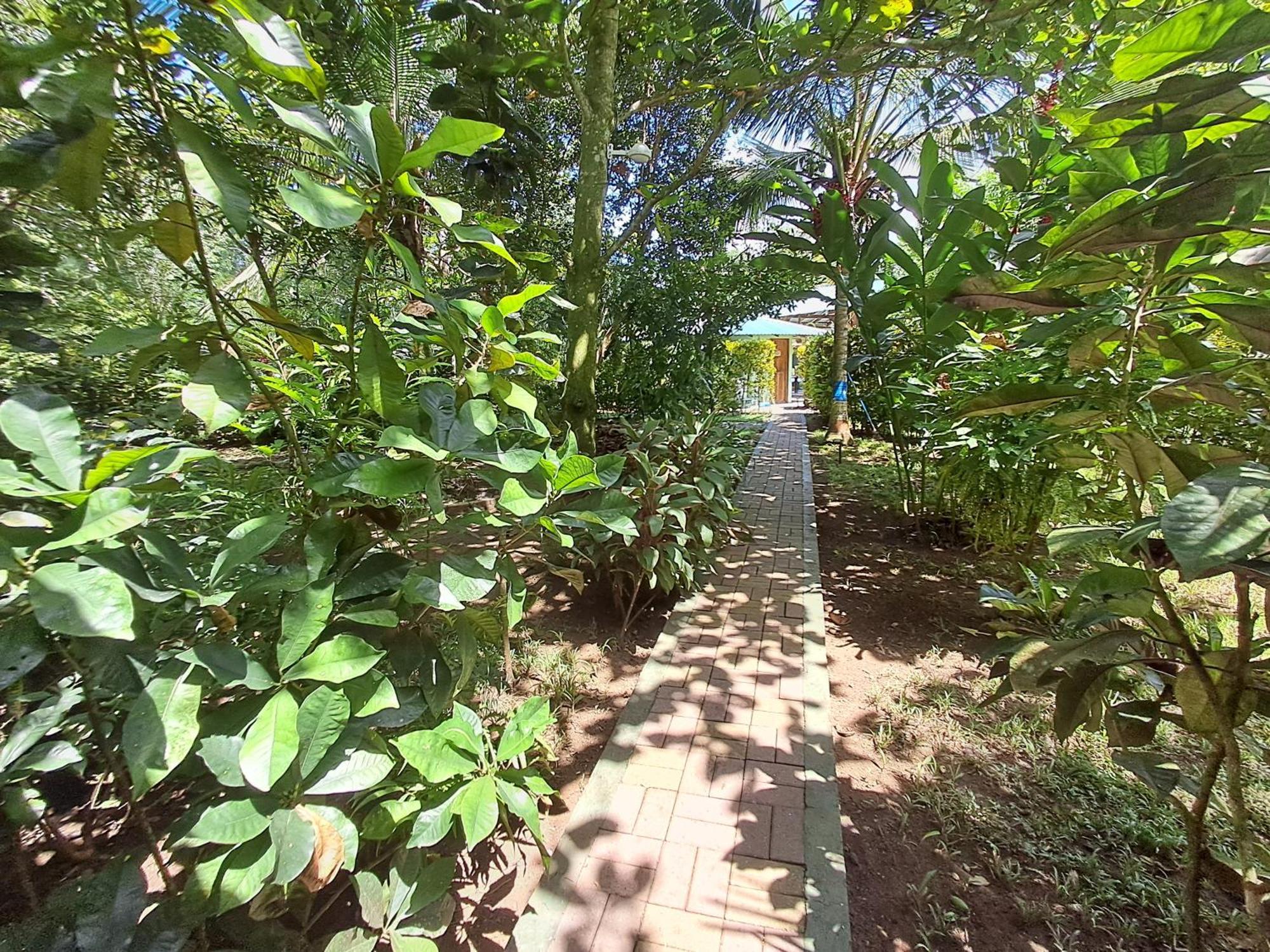 New Caribe Point Villa Cahuita Bagian luar foto