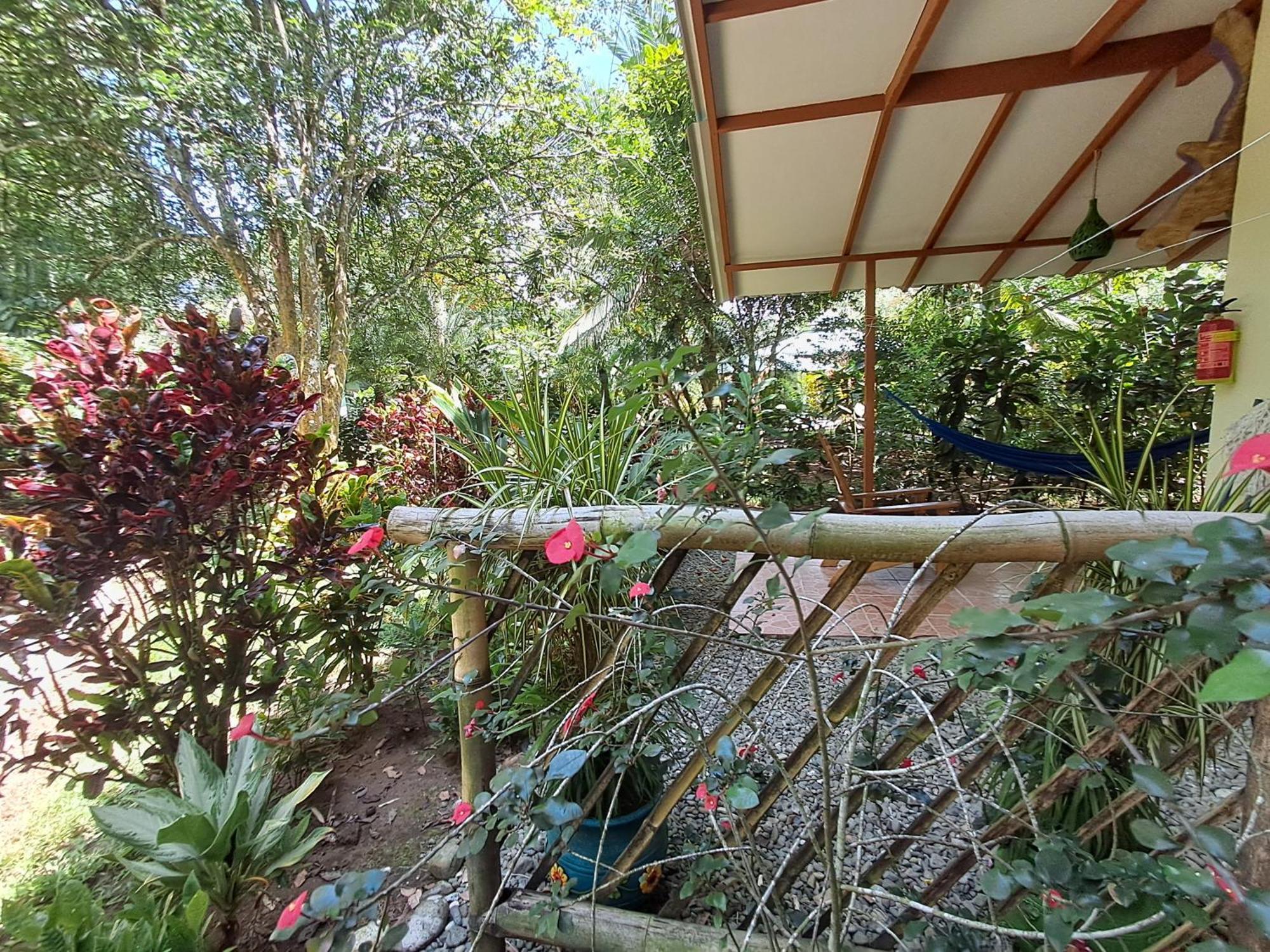 New Caribe Point Villa Cahuita Bagian luar foto