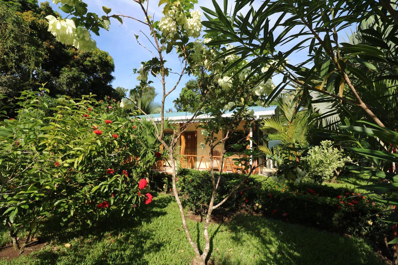 New Caribe Point Villa Cahuita Bagian luar foto